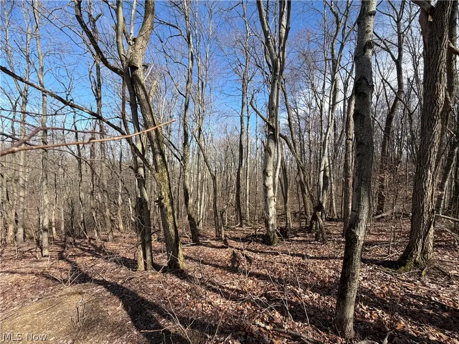 31100 Moravian Trail, Tippecanoe, OH 44699 - #2