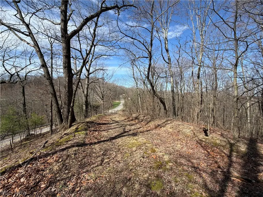 31100 Moravian Trail, Tippecanoe, OH 44699 - #3