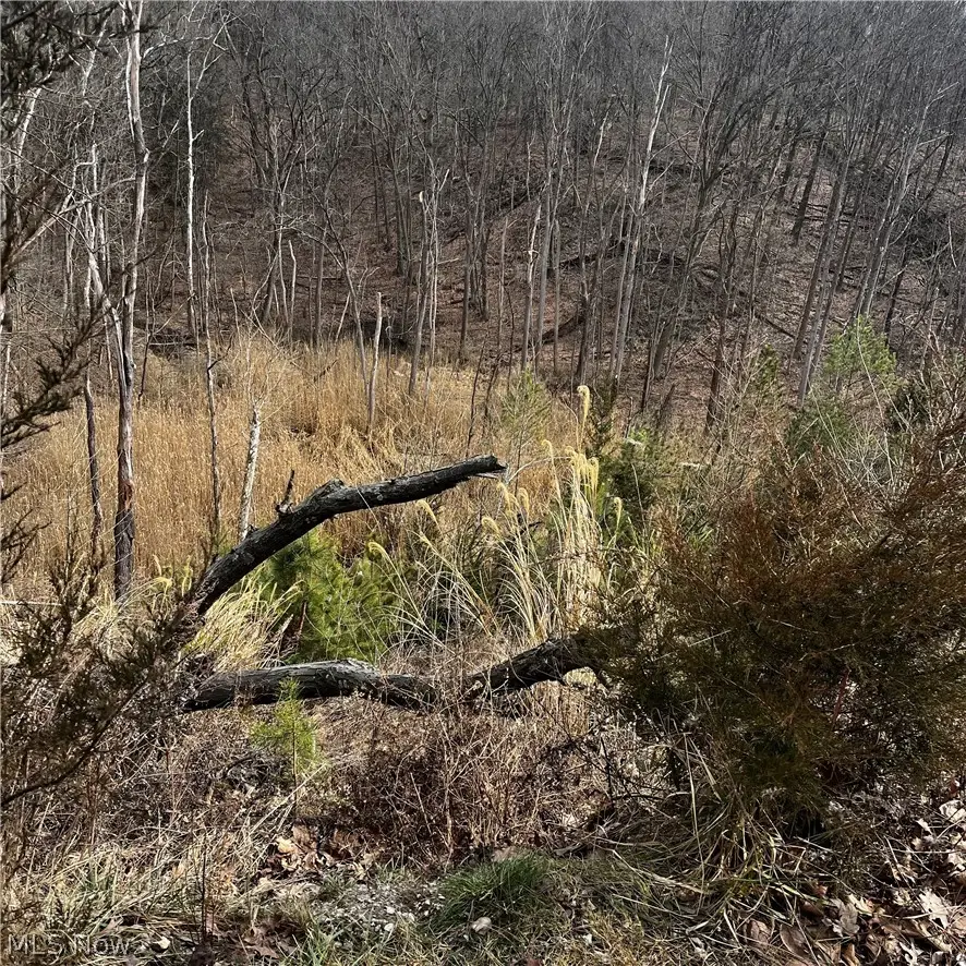 6589 Hathaway Road, Valley View, OH 44125 - #3