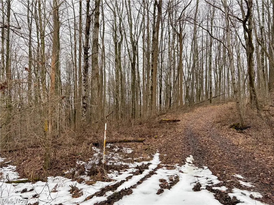 0 Tract 5 Mann Road, Graysville, OH 45734 - #3