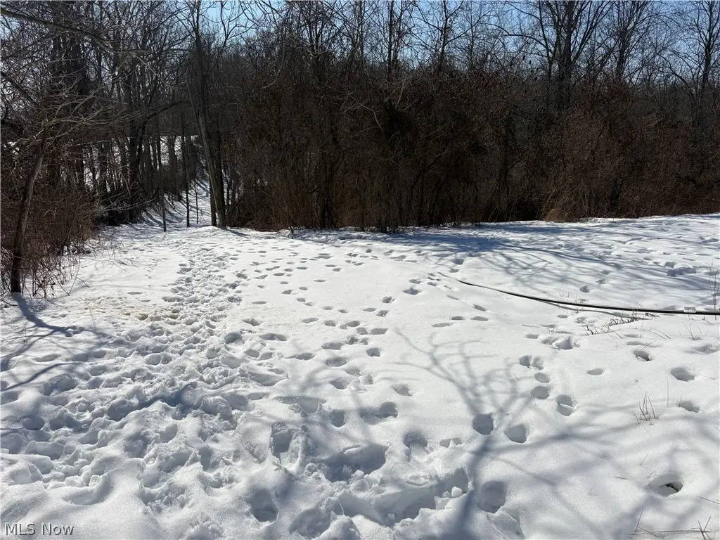 0 Tract 6 Winland Lane, Graysville, OH 45734 - #1