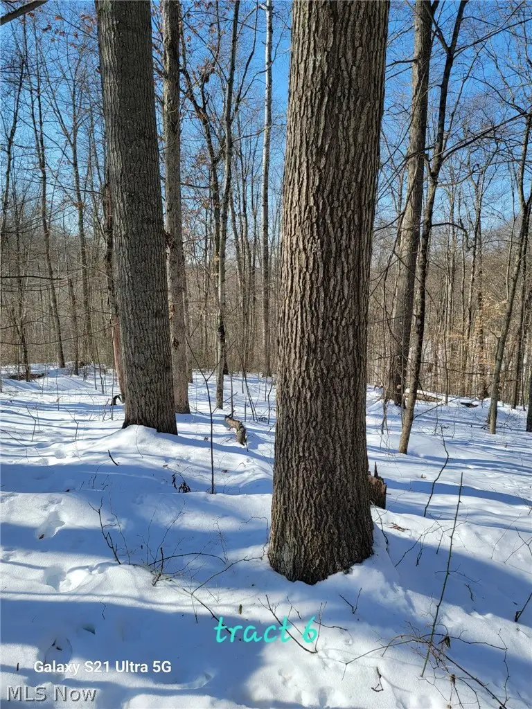 0 Tract 6 Winland Lane, Graysville, OH 45734 - #2