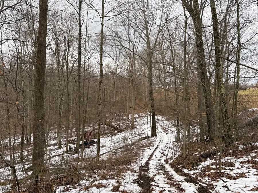 0 Tract 6 Winland Lane, Graysville, OH 45734 - #3