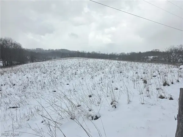 20230 Dare Lane, Freeport, OH 43973