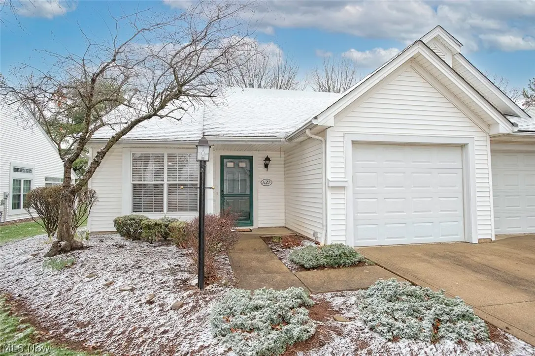 1127 Lake Meadow Lane, Brunswick, OH 44212 - #1
