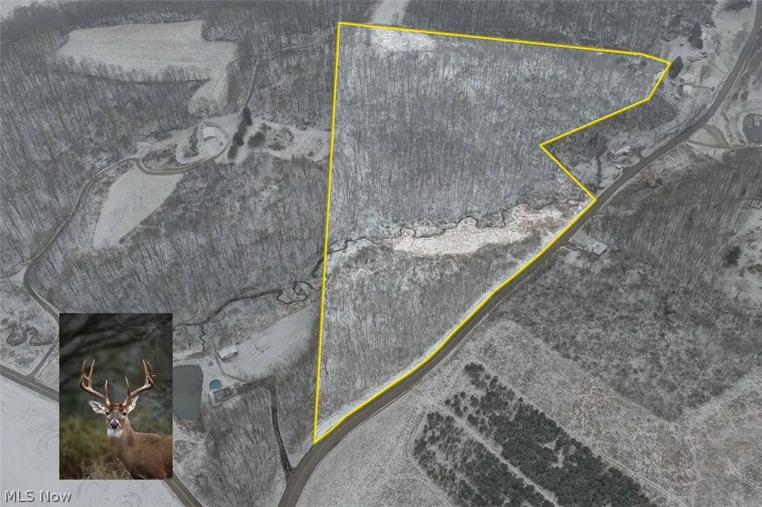 Bacon Road, Carrollton, OH 44615 - #1