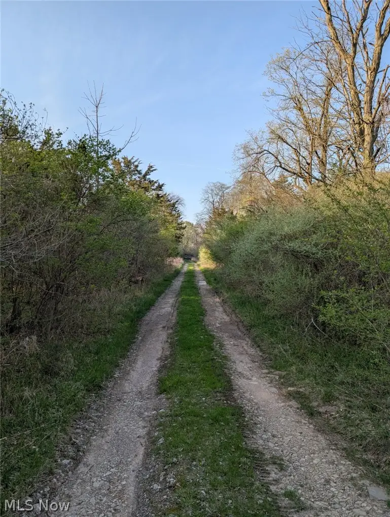 115 Beech Street, Kelleys Island, OH 43438 - #3