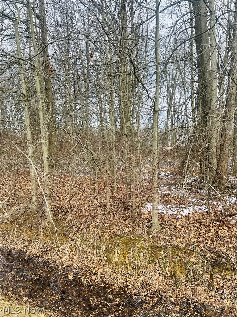 Lot 113 Breezewood Lane, Orwell, OH 44076 - #1