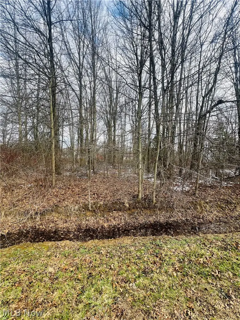 Lot 113 Breezewood Lane, Orwell, OH 44076 - #3