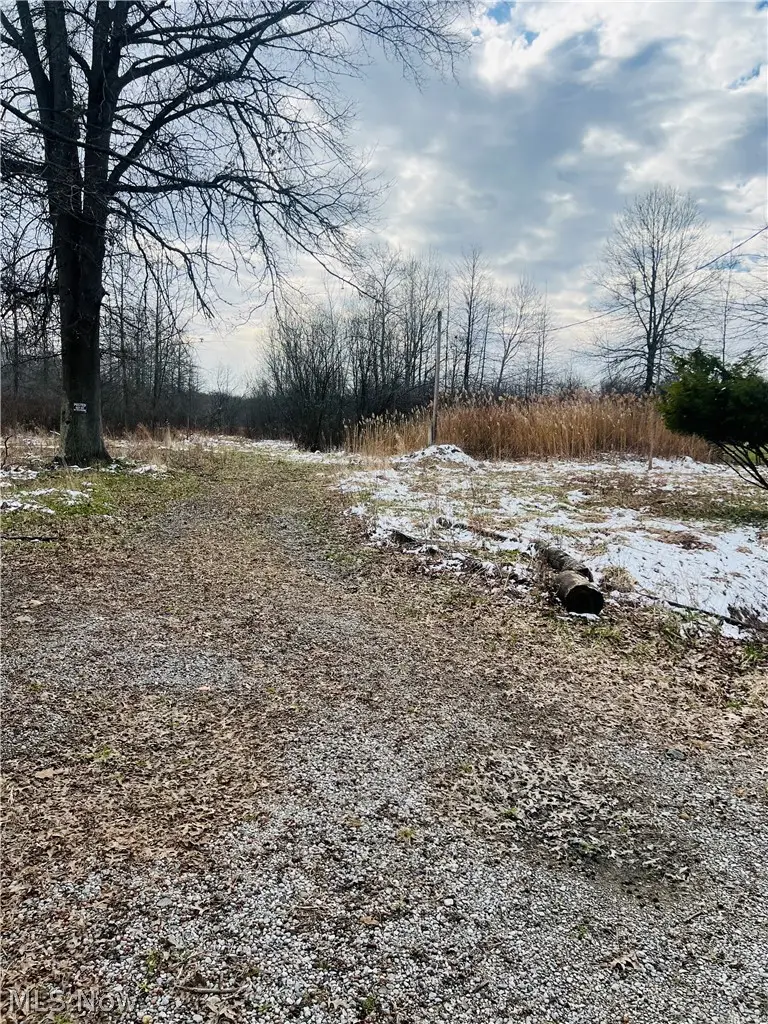 8670 Fortney Road, Orwell, OH 44076 - #3