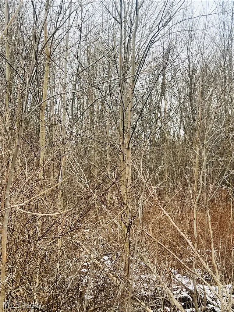 00 Us-322, Orwell, OH 44076 - #3