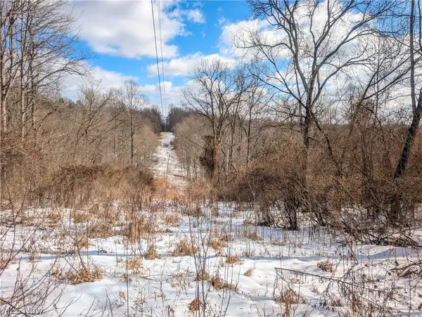 0 Tract 13 Ayers Ridge, Lower Salem, OH 43788