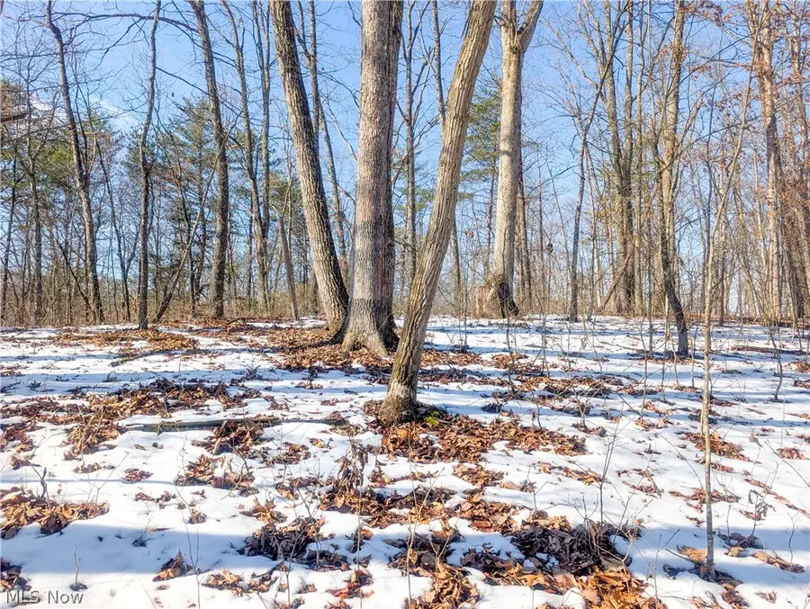 0 Tract 16 Ch 59, Cutler, OH 45724 - #3