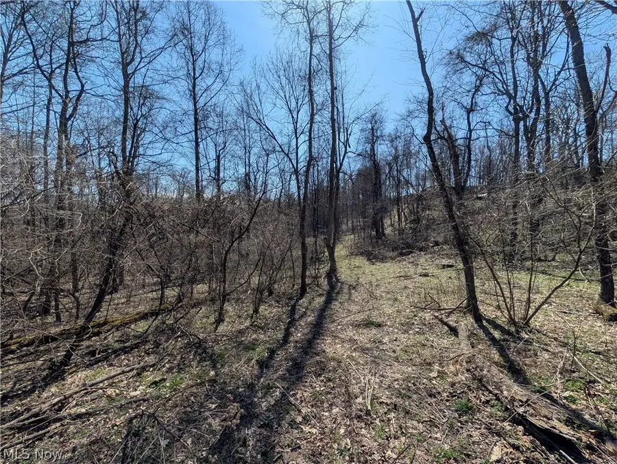 Township Road 289, Brush Creek, OH 43945 - #2