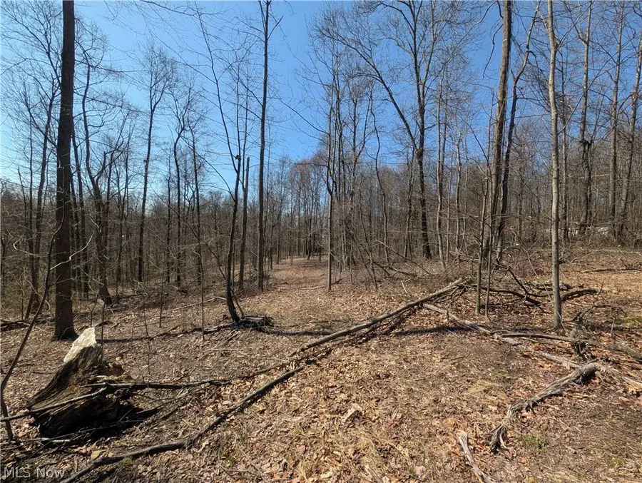 Township Road 289, Brush Creek, OH 43945 - #3