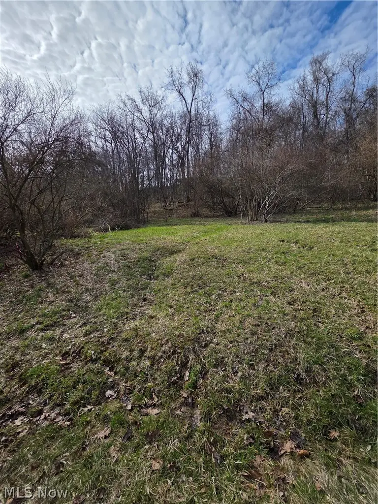 Iroquois Trail, Senecaville, OH 43780 - #3