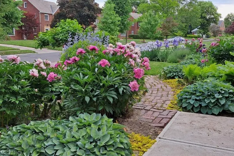 3814 Bushnell Road, University Heights, OH 44118 - #2