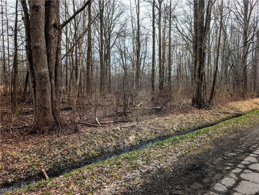 Magnolia Drive #2, Madison, OH 44057 - #2