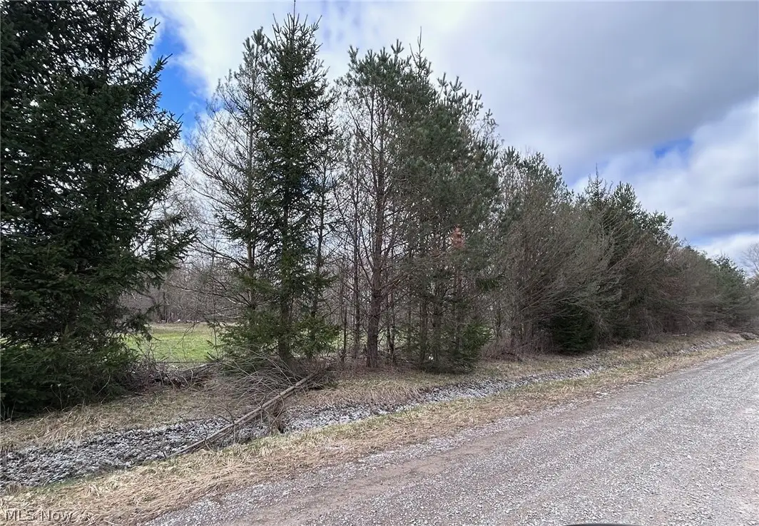 V/L White Road, Rock Creek, OH 44084 - #1