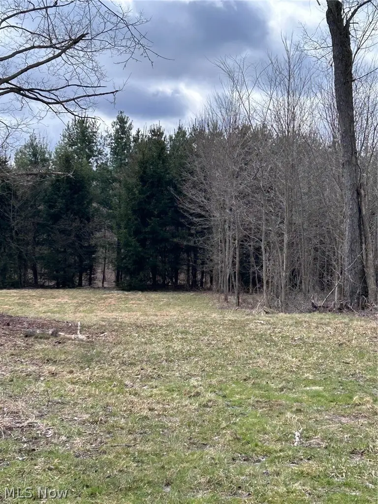 V/L White Road, Rock Creek, OH 44084 - #2