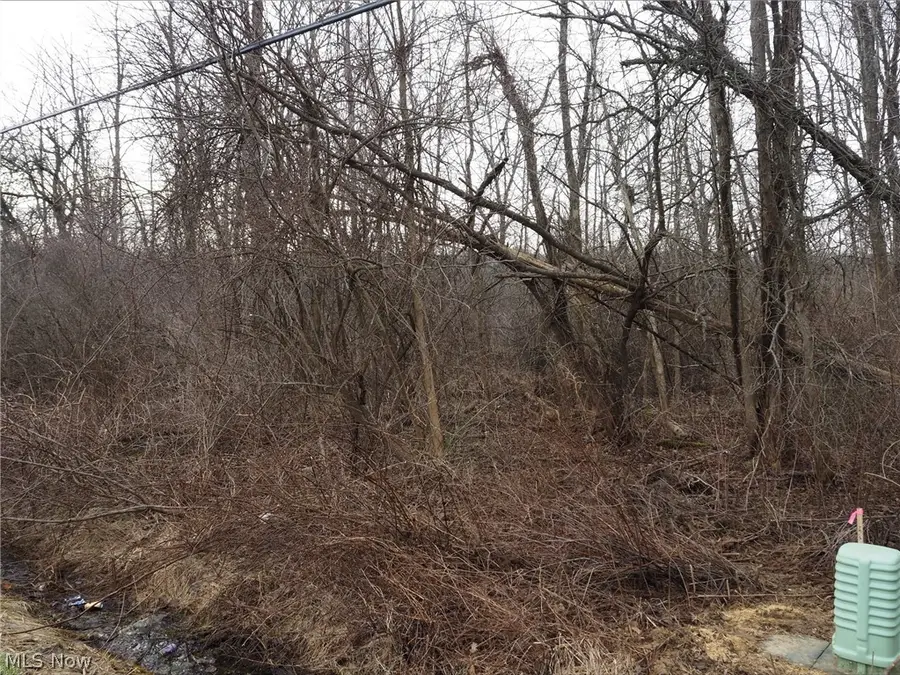 V/L 2 Bartholomew Road, Chagrin Falls, OH 44023 - #2