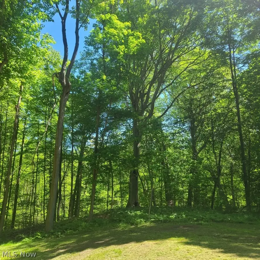 S/L 25 and S/L 26 Old Mill Road, Madison, OH 44057 - #3