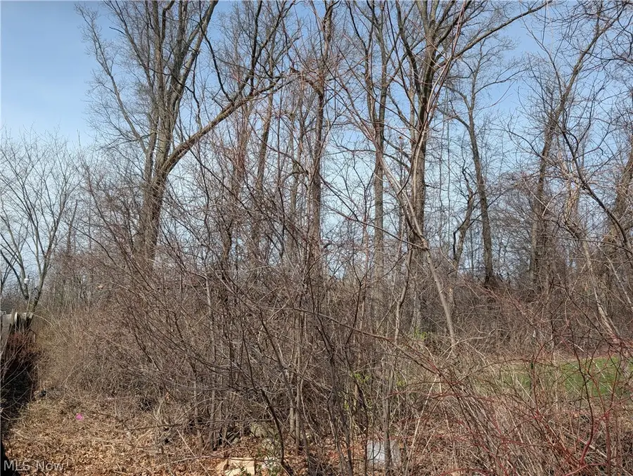 VL North Ridge Road, Lorain, OH 44053 - #2