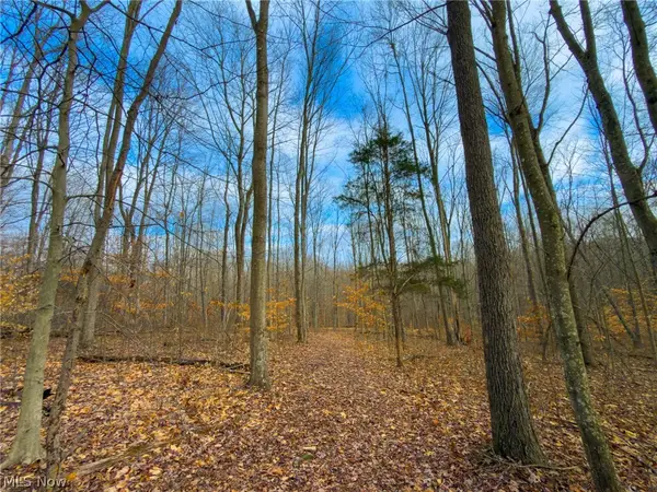 0 Long Fork, Piketon, OH 45661