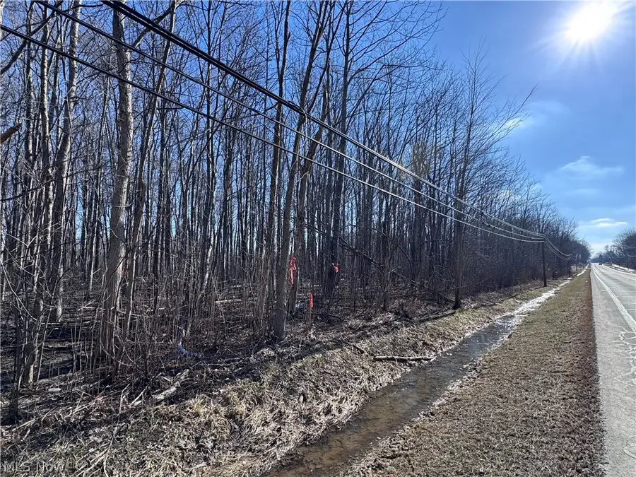 V/L 3 Painesville Warren Rd., Leroy, OH 44077 - #2