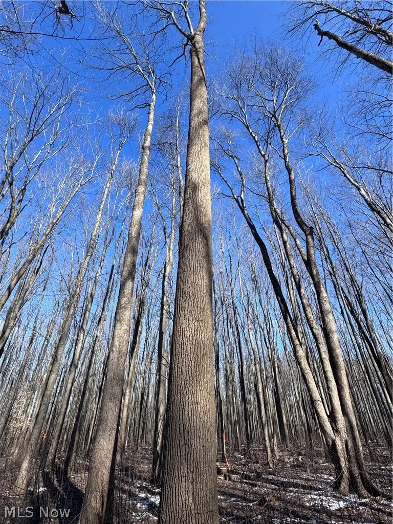 V/L 3 Painesville Warren Rd., Leroy, OH 44077 - #3