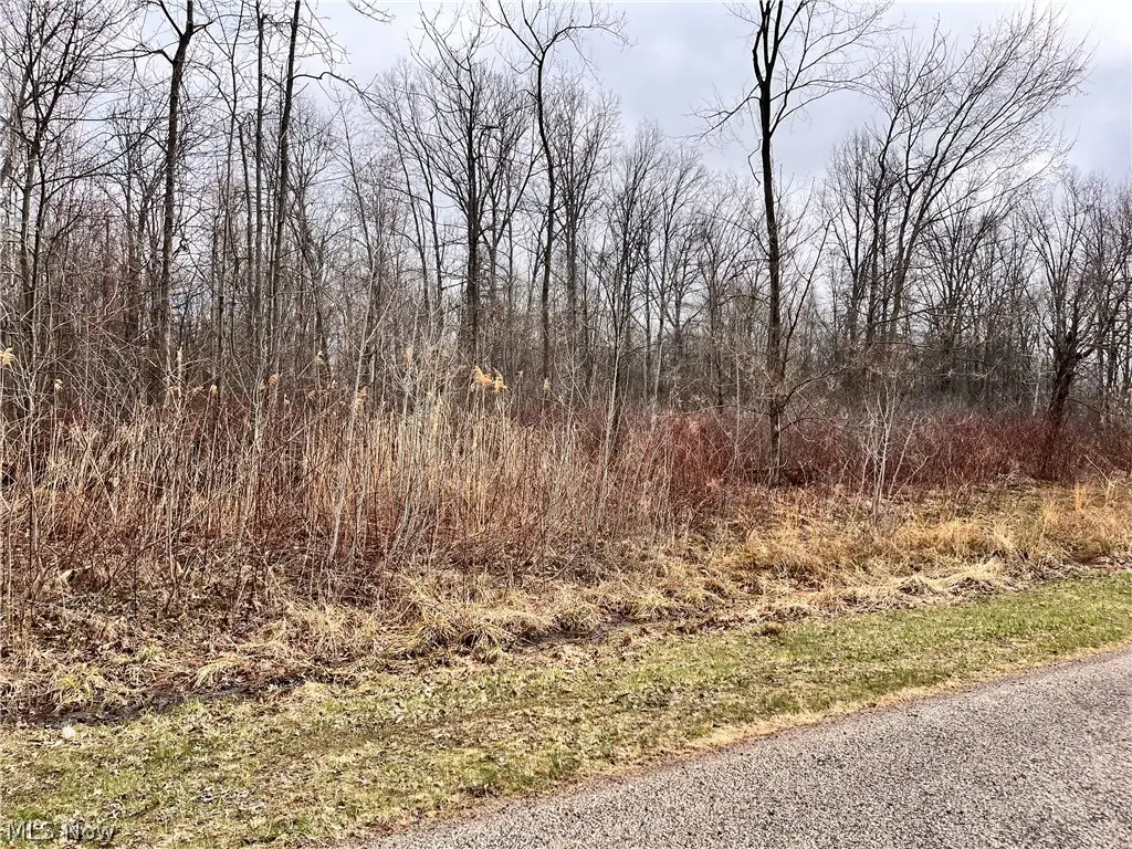 Brianna Ct. Lot 11, Ashtabula, OH 44004 - #1