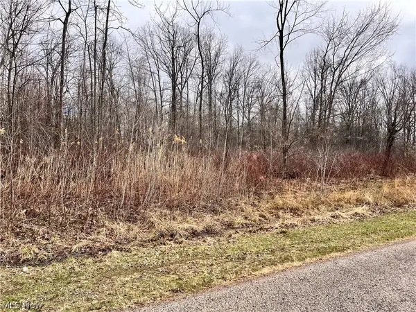 Brianna Ct. Lot 11, Ashtabula, OH 44004