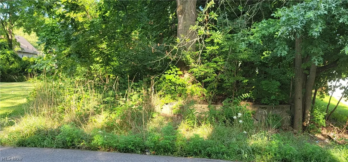 Garfield Street, Akron, OH 44310 - #1