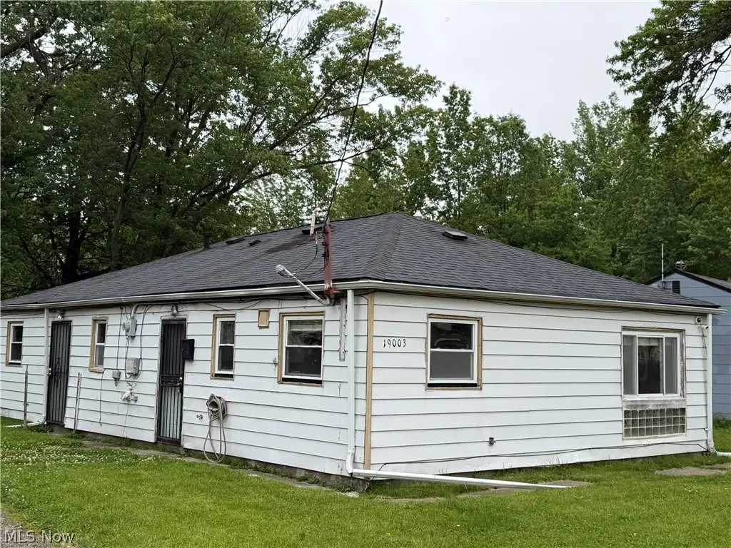 19003 Firwood Road, Cleveland, OH 44110 - #1