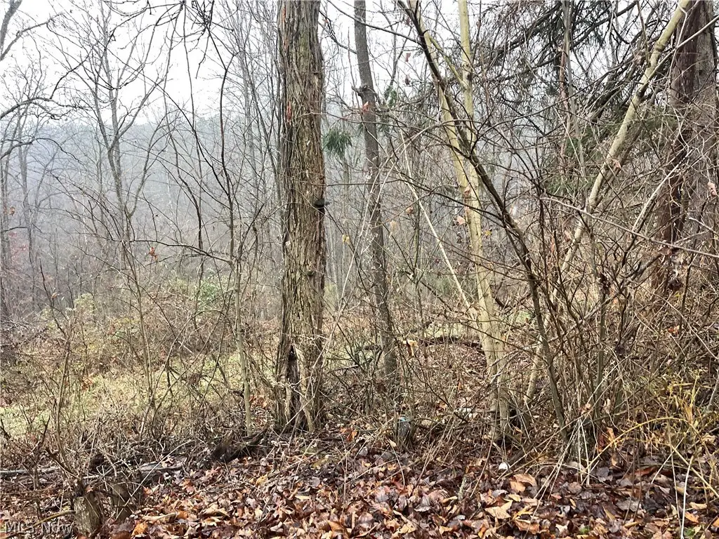 16 Woodcliff Acres, Washington, WV 26181 - #1