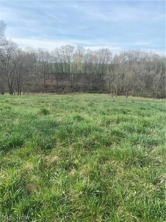 0 Judson Street, Bethesda, OH 43719