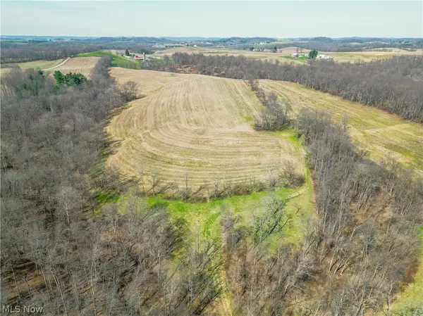 Endlich Road, Fresno, OH 43804