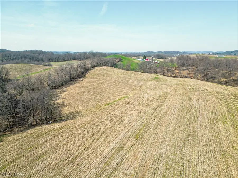 Endlich Road, Bucks, OH 43804 - #2