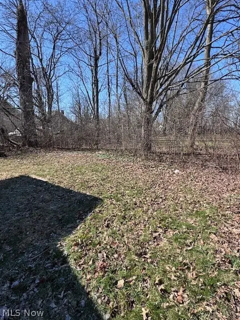 516 Wildwood Avenue, Akron, OH 44320 - #3