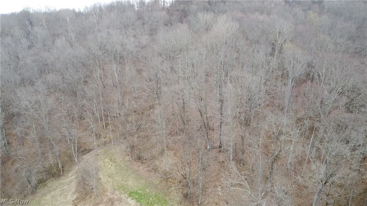 39460 Opossum Creek Road, Sardis, OH 43946 - #1