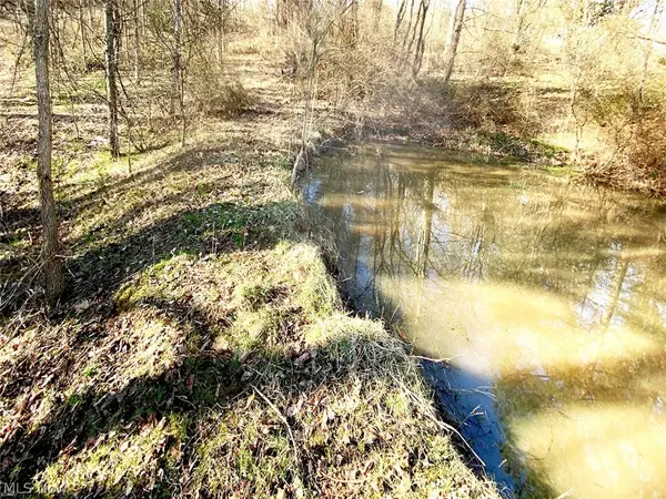 0 Twp Rd 318 Road, Dexter City, OH 45727