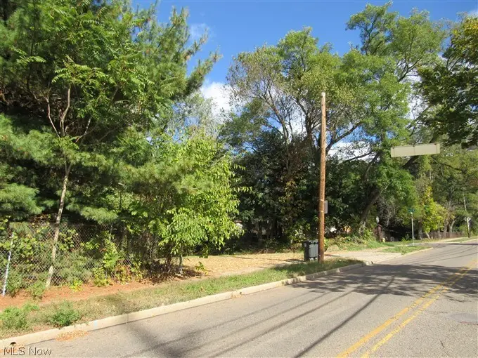 1199 Newton Street, Akron, OH 44305 - #2