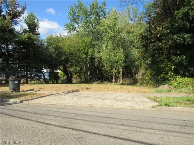 1199 Newton Street, Akron, OH 44305 - #3