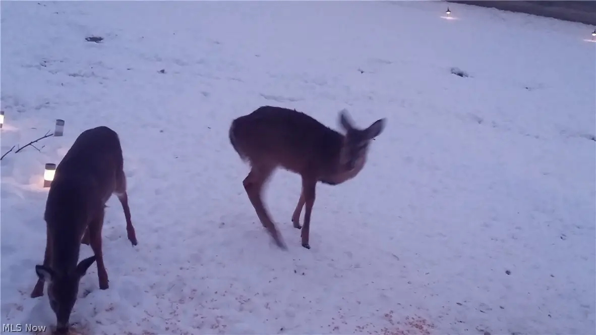 10294 Township Road 57 Ne, Roseville, OH 43777 - #1