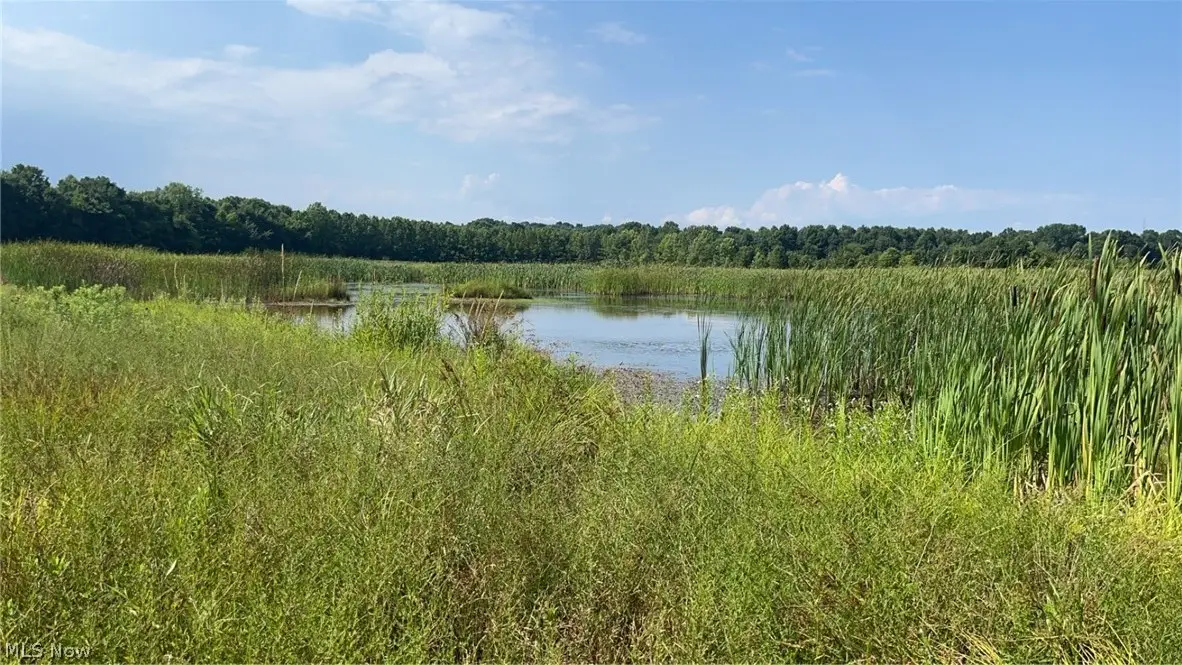 Flagdale, Junction City, OH 43748 - #1