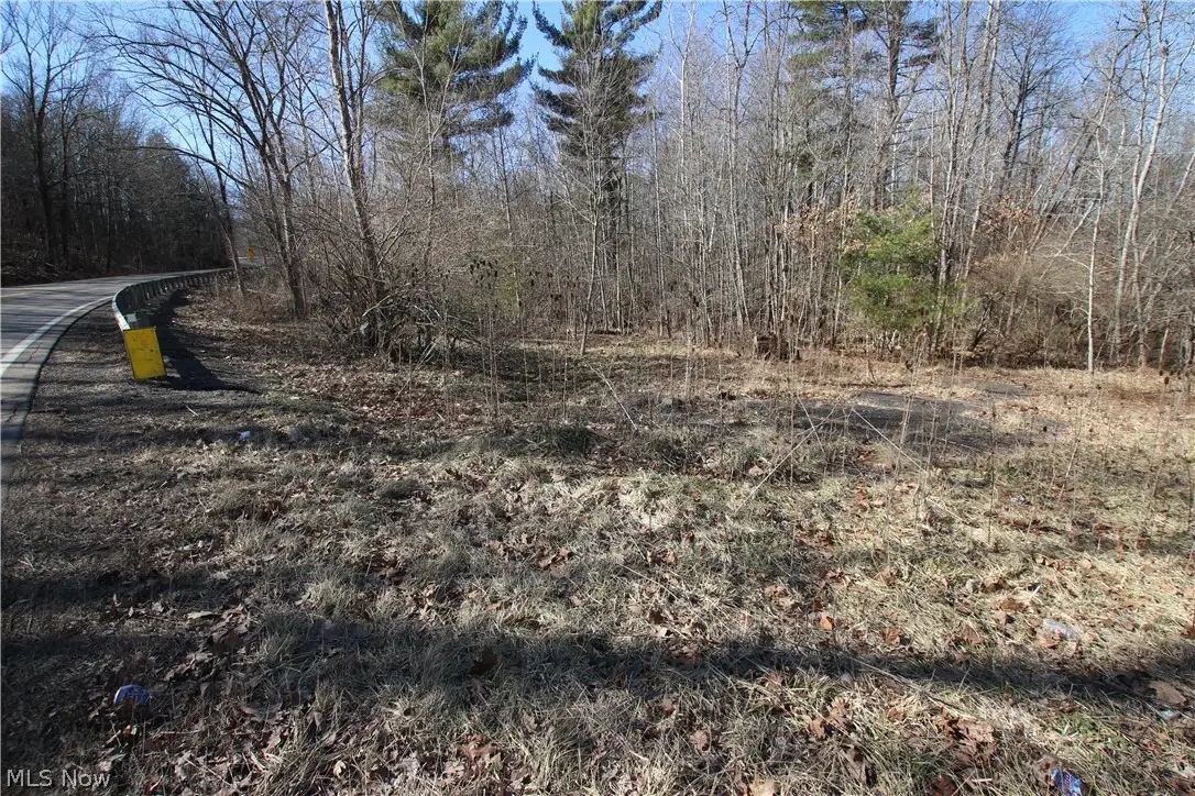 Oh-45, Lisbon, OH 44432 - #1