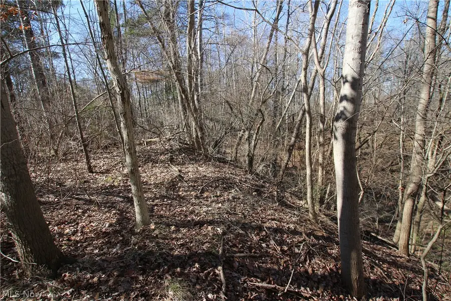 Oh-45, Lisbon, OH 44432 - #3