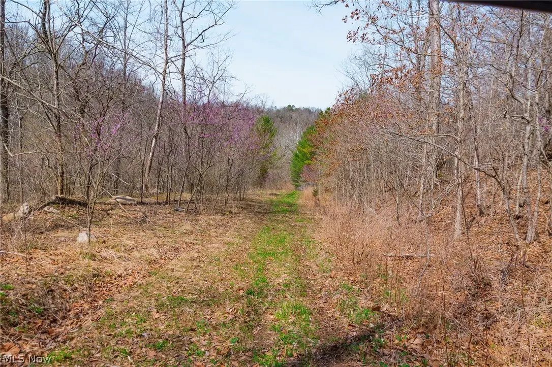 East Branch Road, Lowell, OH 45744 - #1