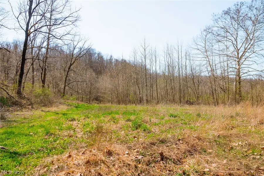 East Branch Road, Lowell, OH 45744 - #2