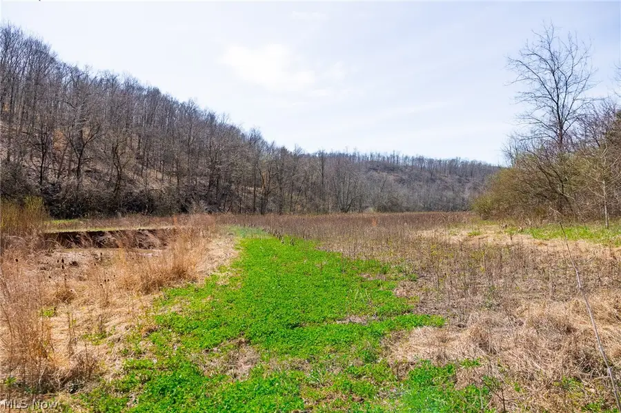 East Branch Road, Lowell, OH 45744 - #3